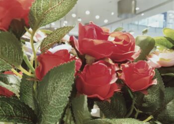 Foto: Hangat Teknologi (Kamera di bahagian belakang telefon Realme C1)