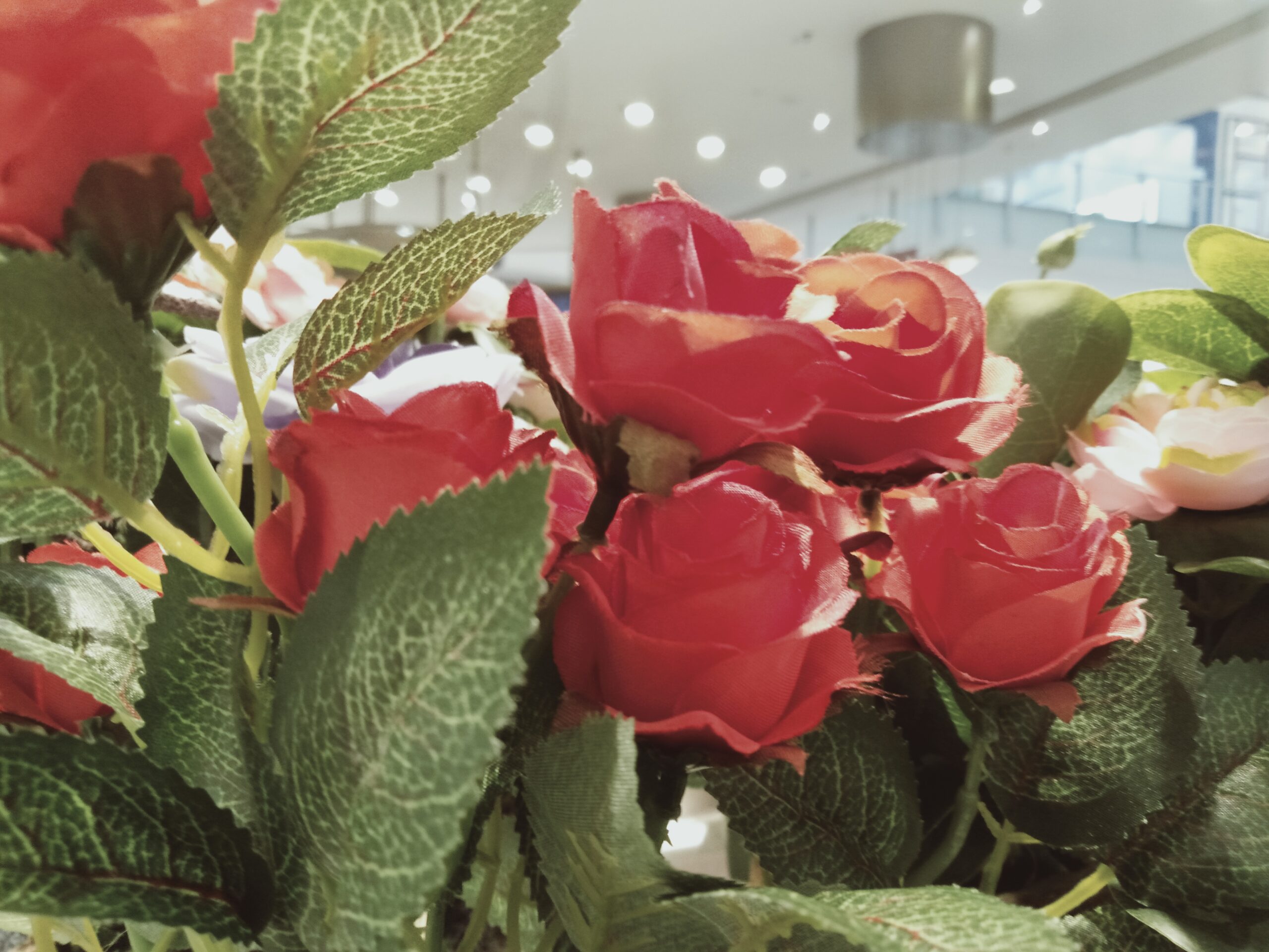 Foto: Hangat Teknologi (Kamera di bahagian belakang telefon Realme C1)